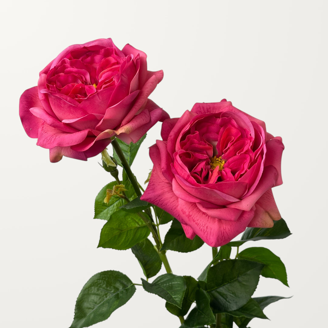 Austin Rose – Hot Pink (Real Touch) - view 2