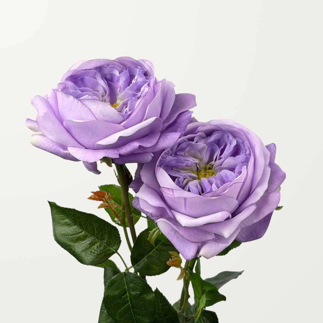 Austin Rose – Lavender (Real Touch) - view 2
