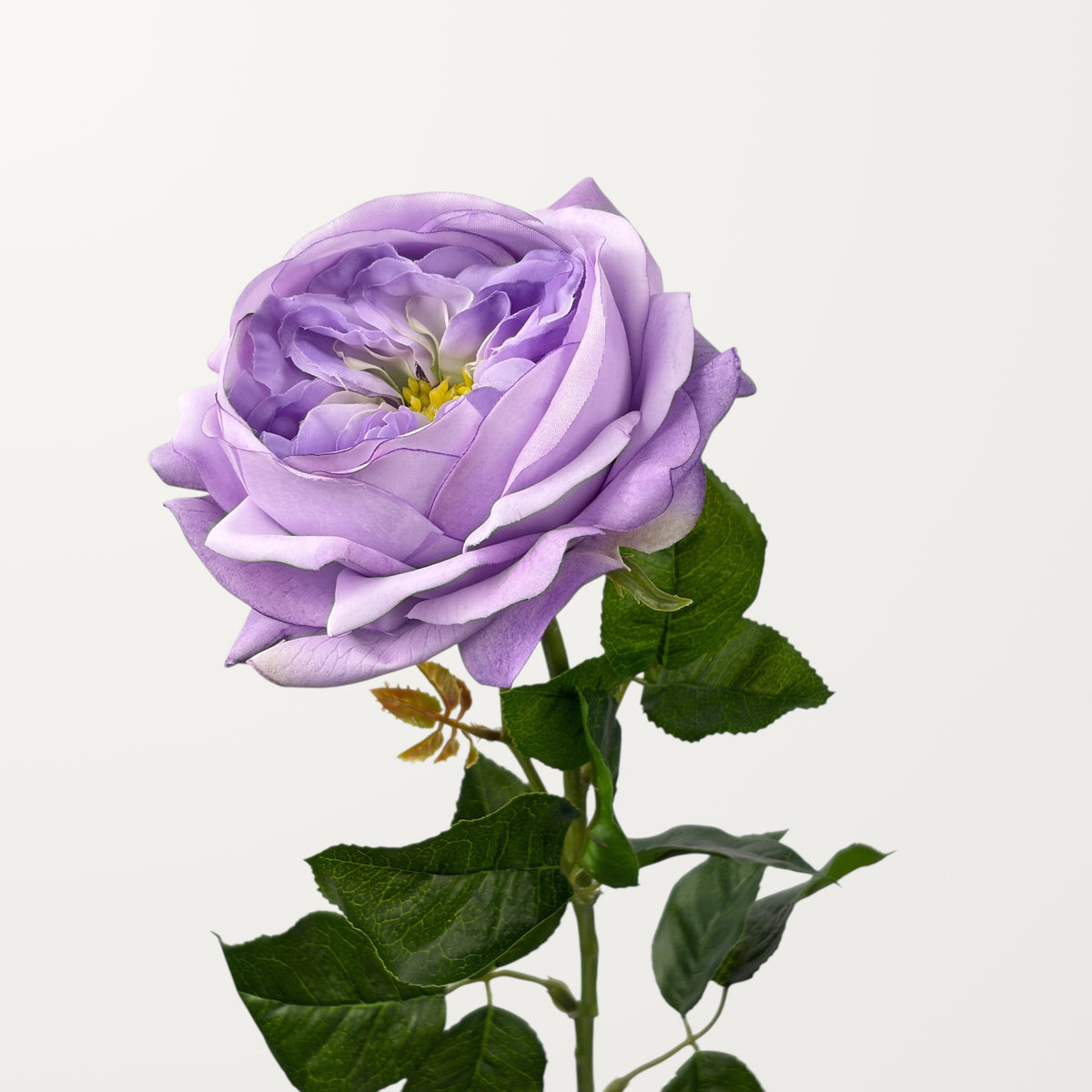 Austin Rose – Lavender (Real Touch)