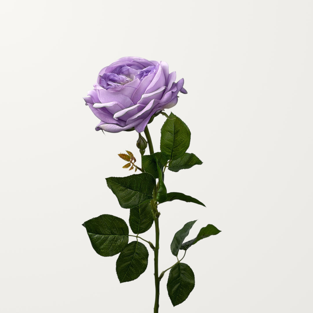 Austin Rose – Lavender (Real Touch) - view 3
