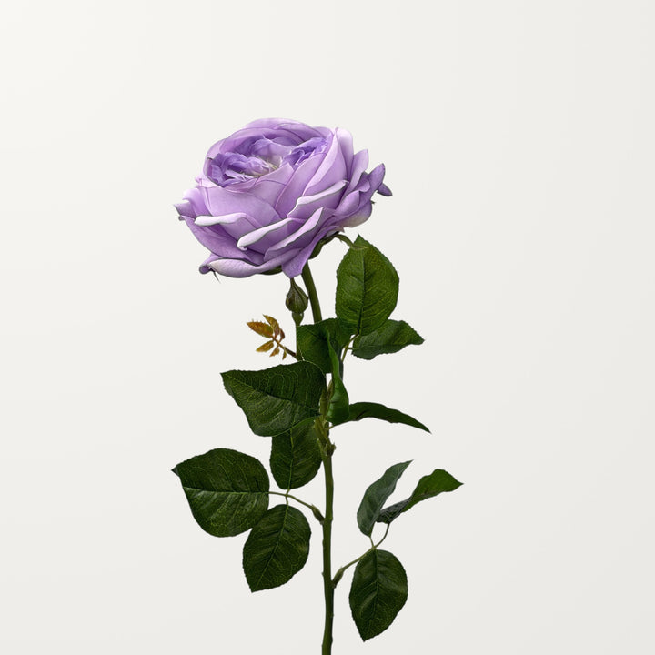 Austin Rose – Lavender (Real Touch) - view 3