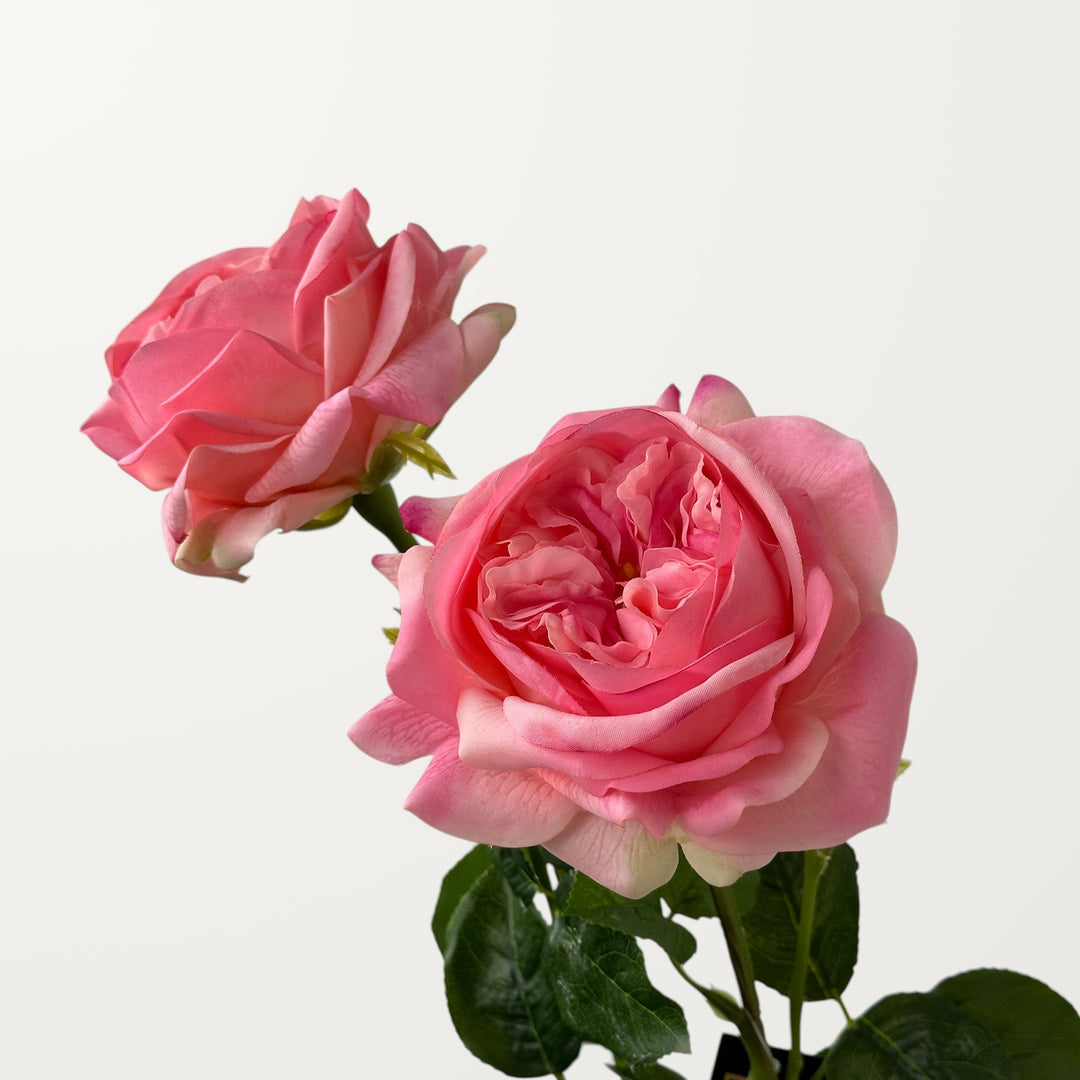 Austin Rose – Pink (Real Touch) - view 2