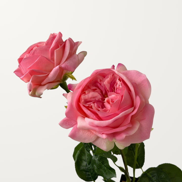 Austin Rose – Pink (Real Touch) - view 2