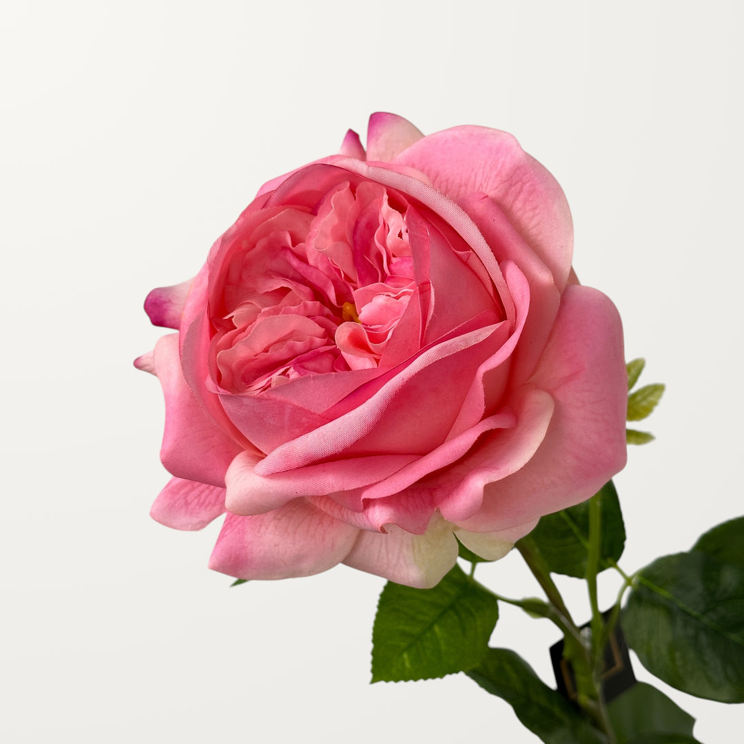 Austin Rose – Pink (Real Touch)