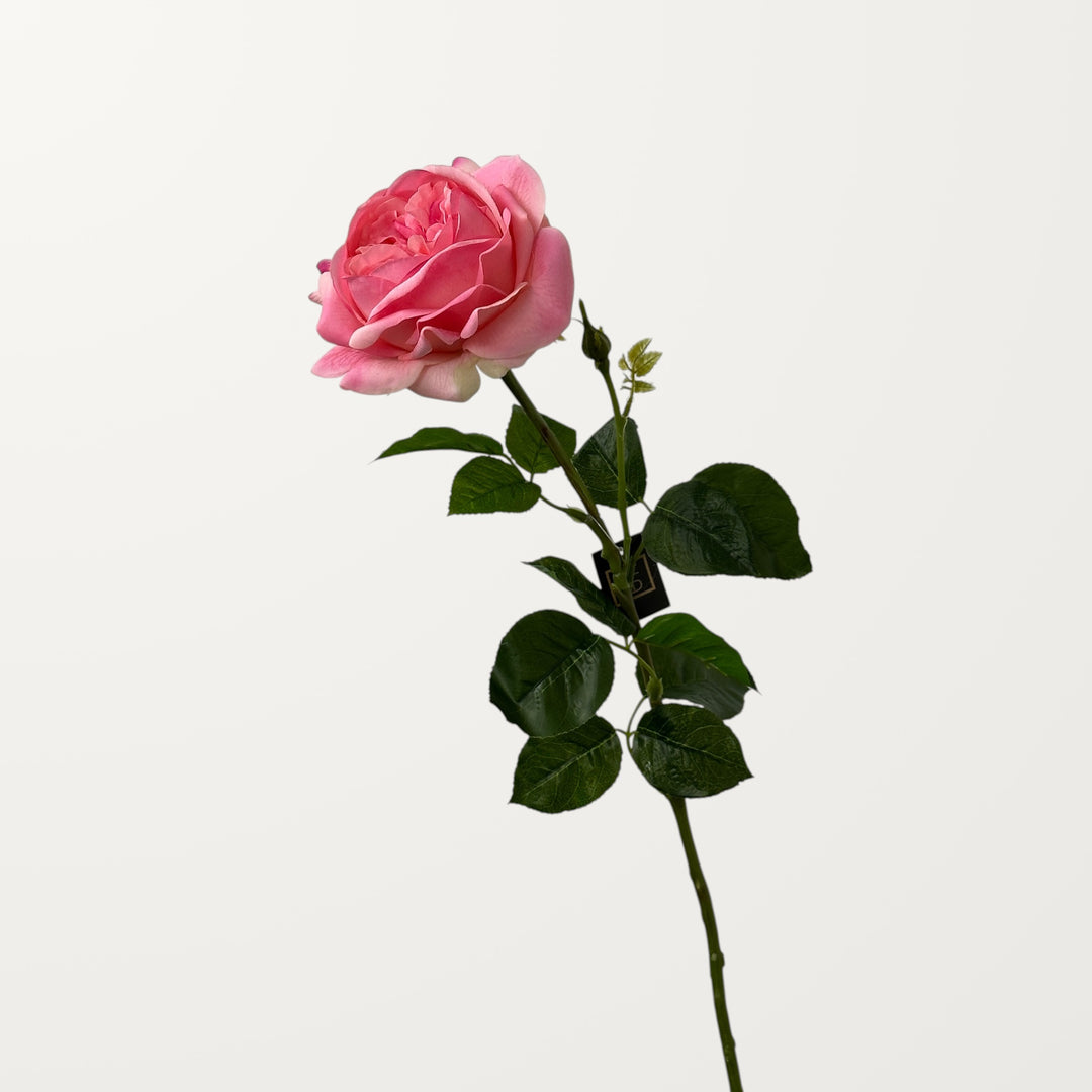 Austin Rose – Pink (Real Touch) - view 3