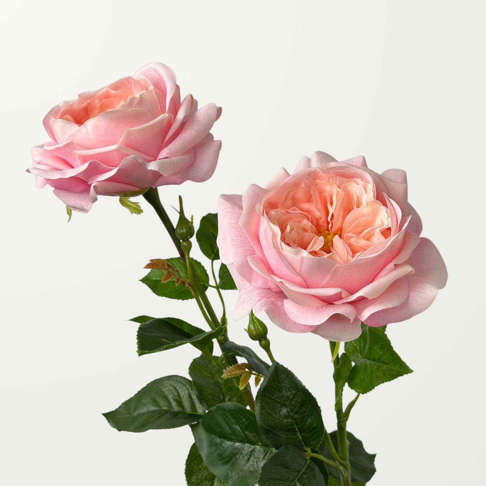 Austin Rose – Soft Pink (Real Touch) - view 2