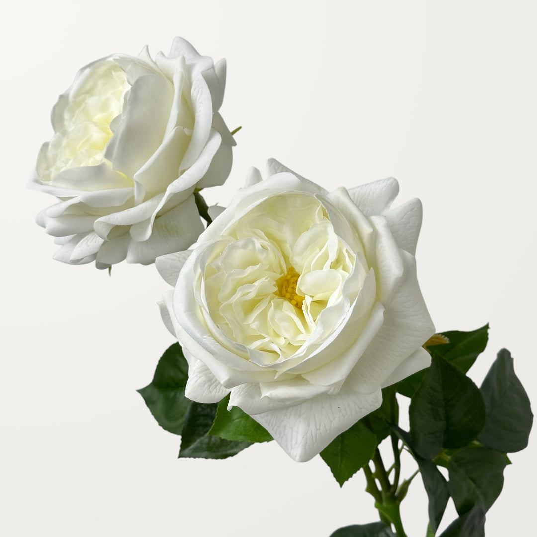 Austin Rose – White (Real Touch) - view 2