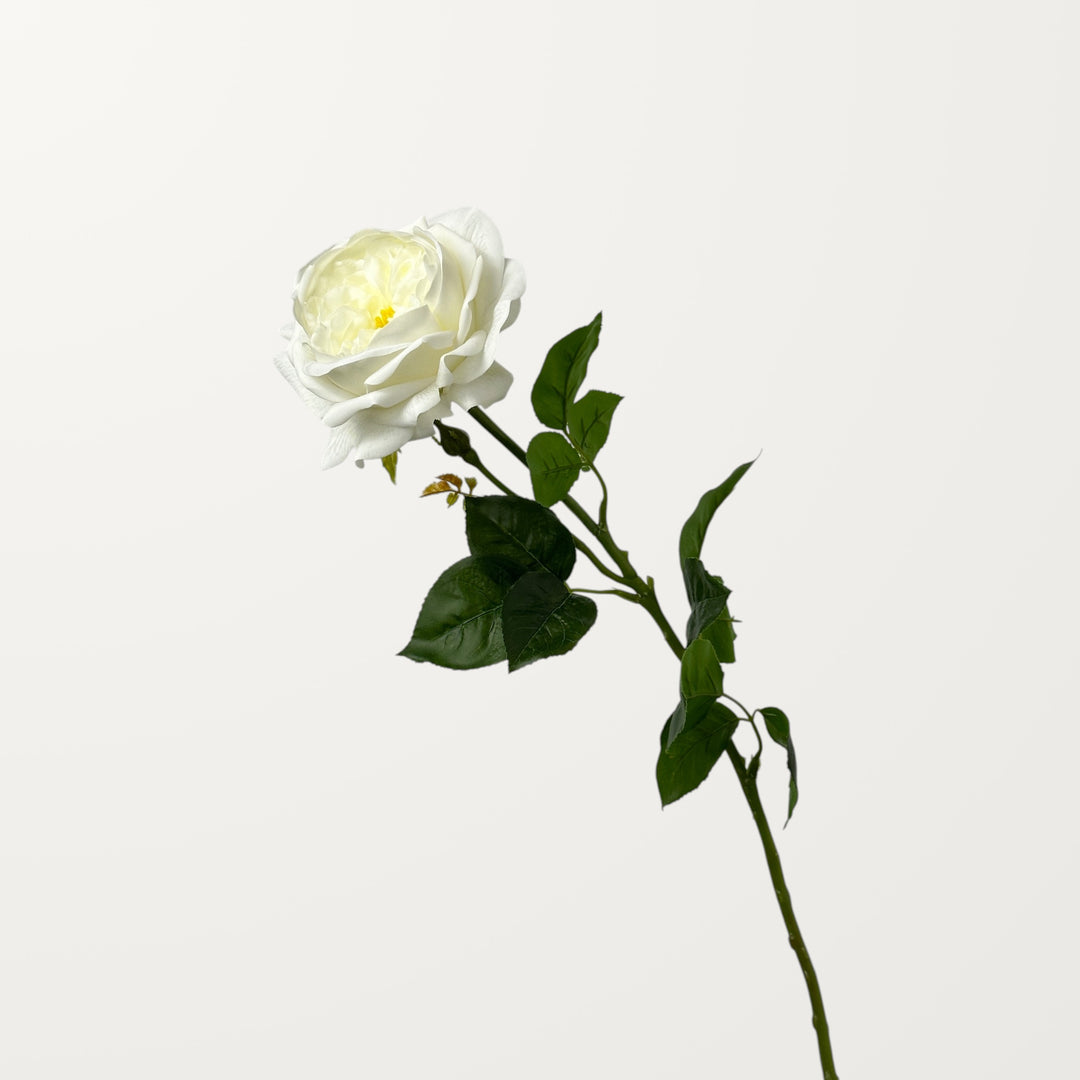 Austin Rose – White (Real Touch) - view 3