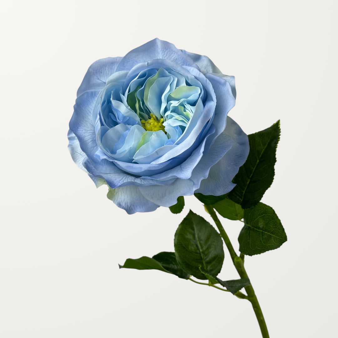 Austin Rose – Sky Blue (Real Touch)