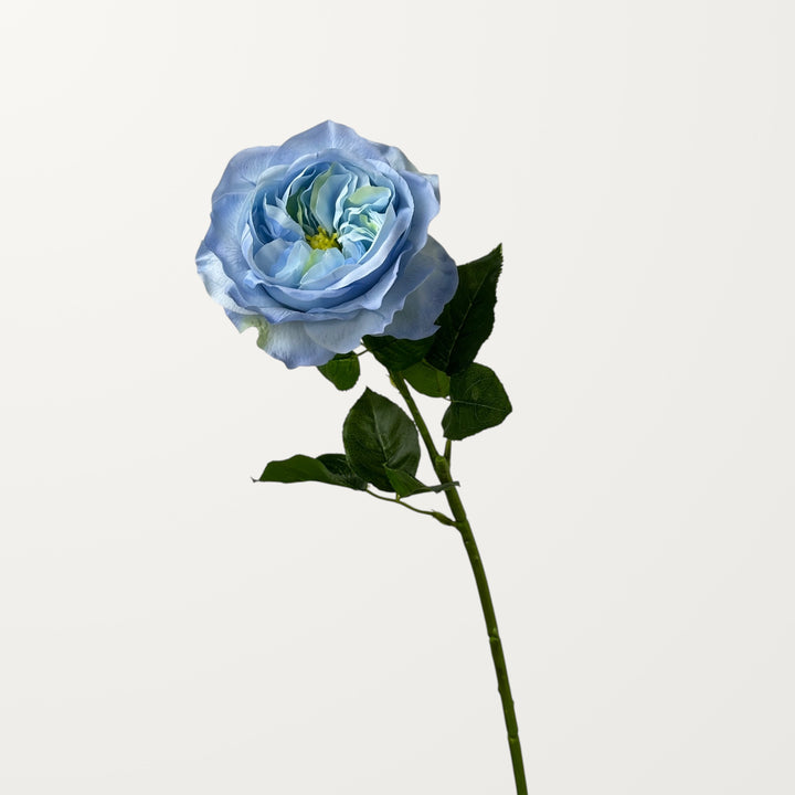 Austin Rose – Sky Blue (Real Touch) - view 3