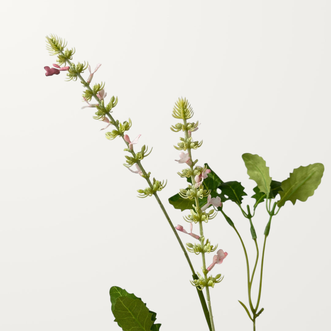 Salvia – Soft Pink - view 3