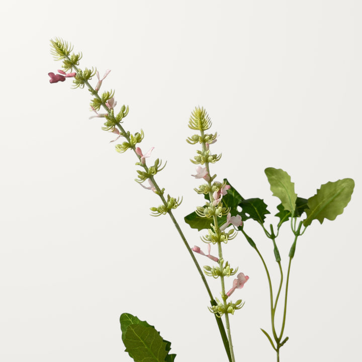 Salvia – Soft Pink - view 3