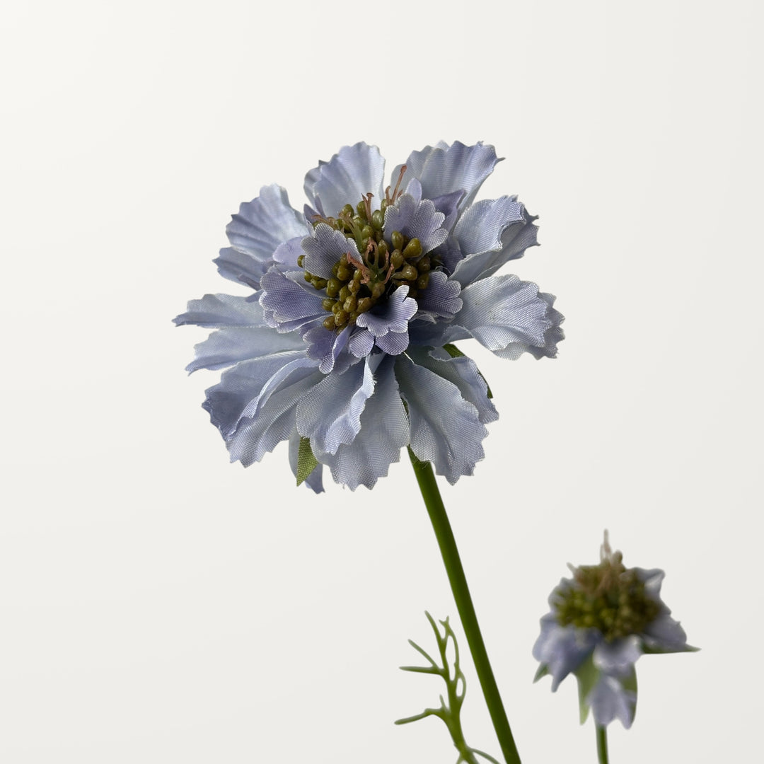 Scabiosa – Soft Lavender - view 3