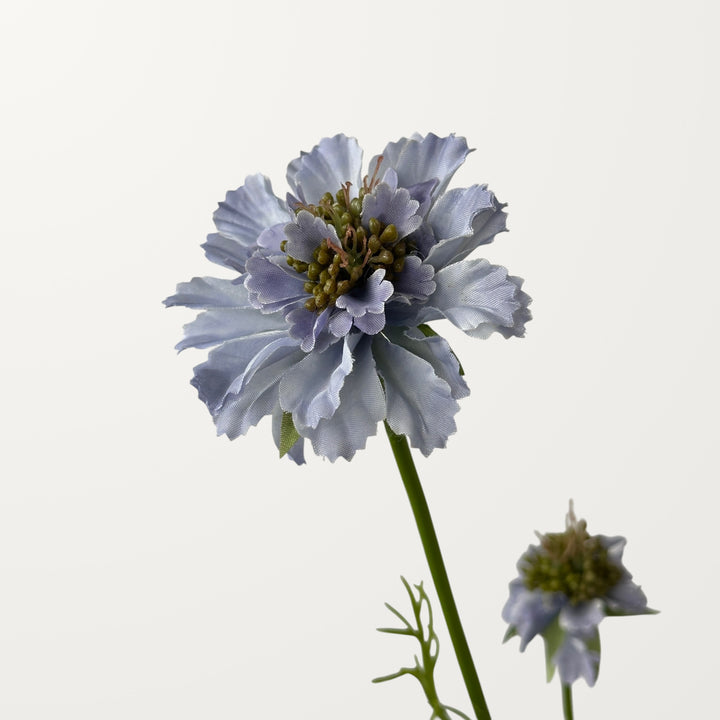 Scabiosa – Soft Lavender - view 3