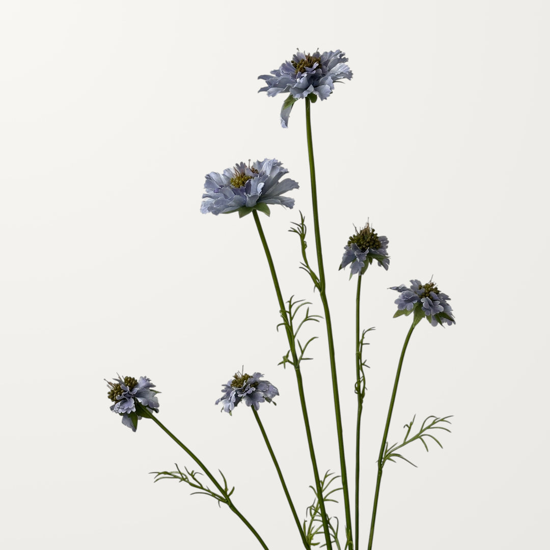 Scabiosa – Soft Lavender - view 2