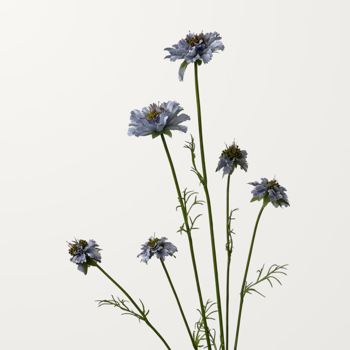 Scabiosa – Soft Lavender - view 2