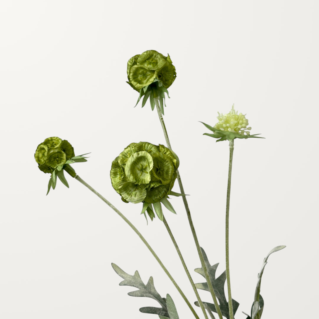 Scabiosa Pod – Sage Green - view 3