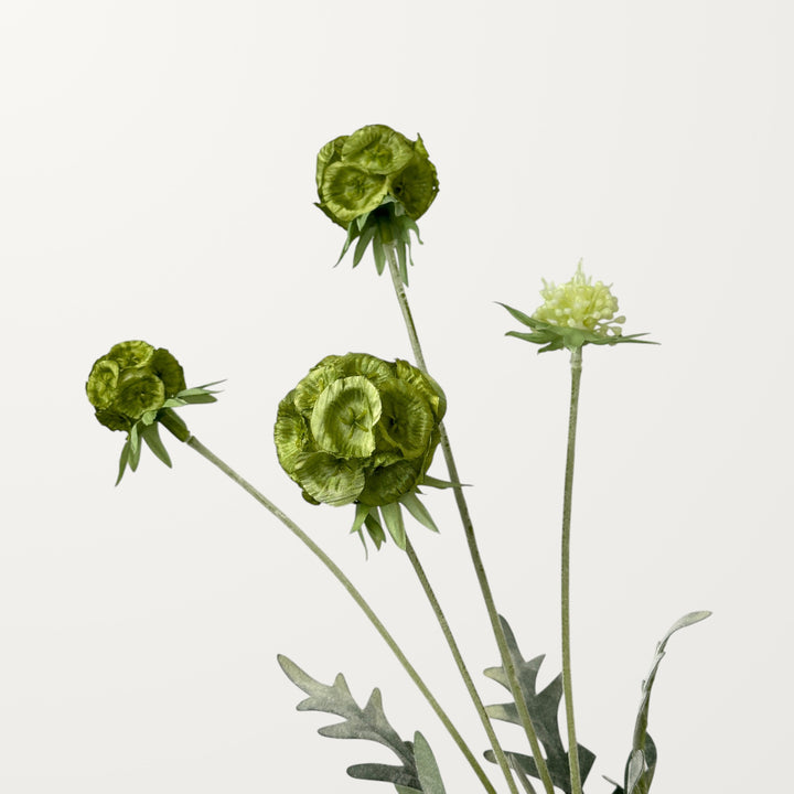 Scabiosa Pod – Sage Green - view 3