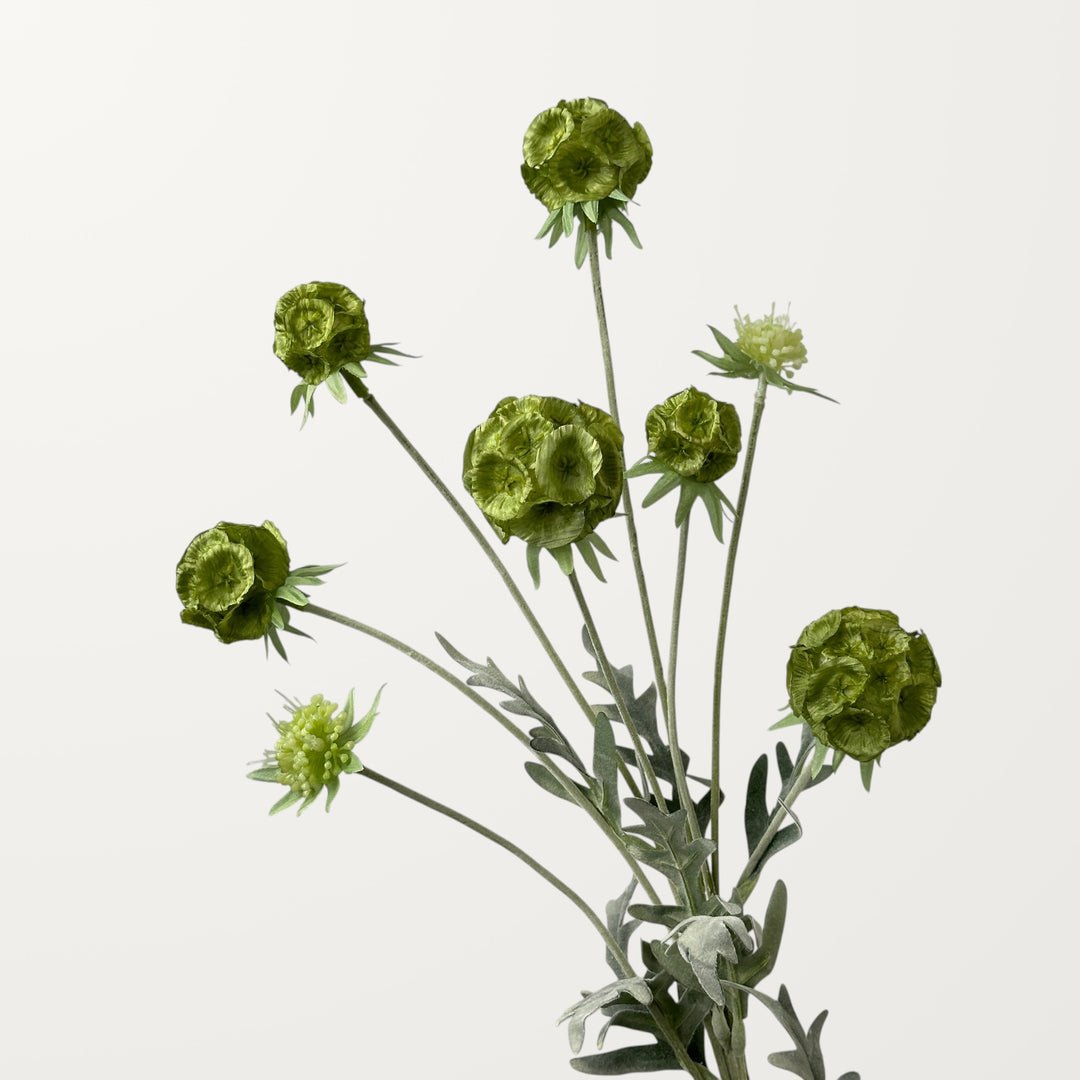 Scabiosa Pod – Sage Green - view 2