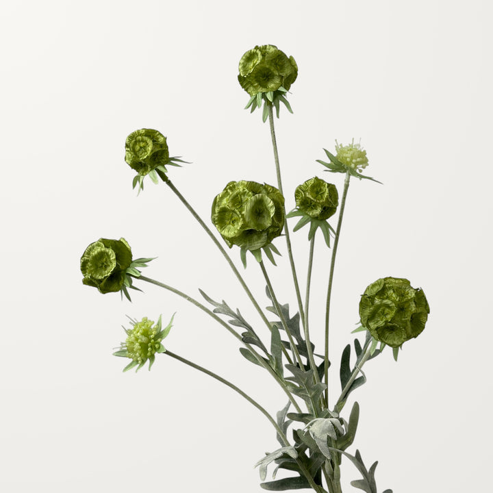 Scabiosa Pod – Sage Green - view 2