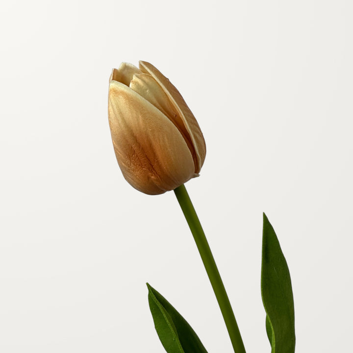 Tulip Bud – Peach Orange (Real Touch)
