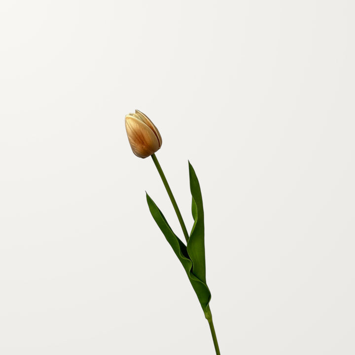 Tulip Bud – Peach Orange (Real Touch) - view 3