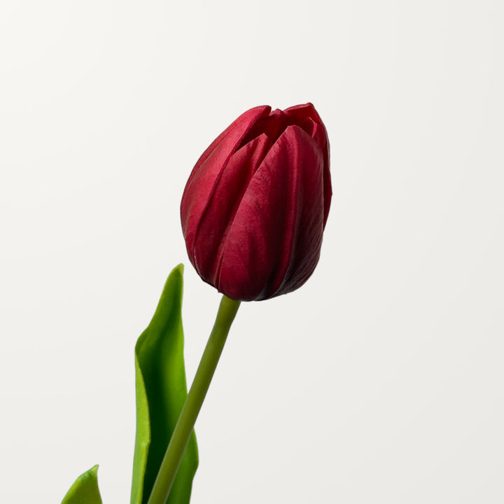 Tulip Bud – Red (Real Touch)