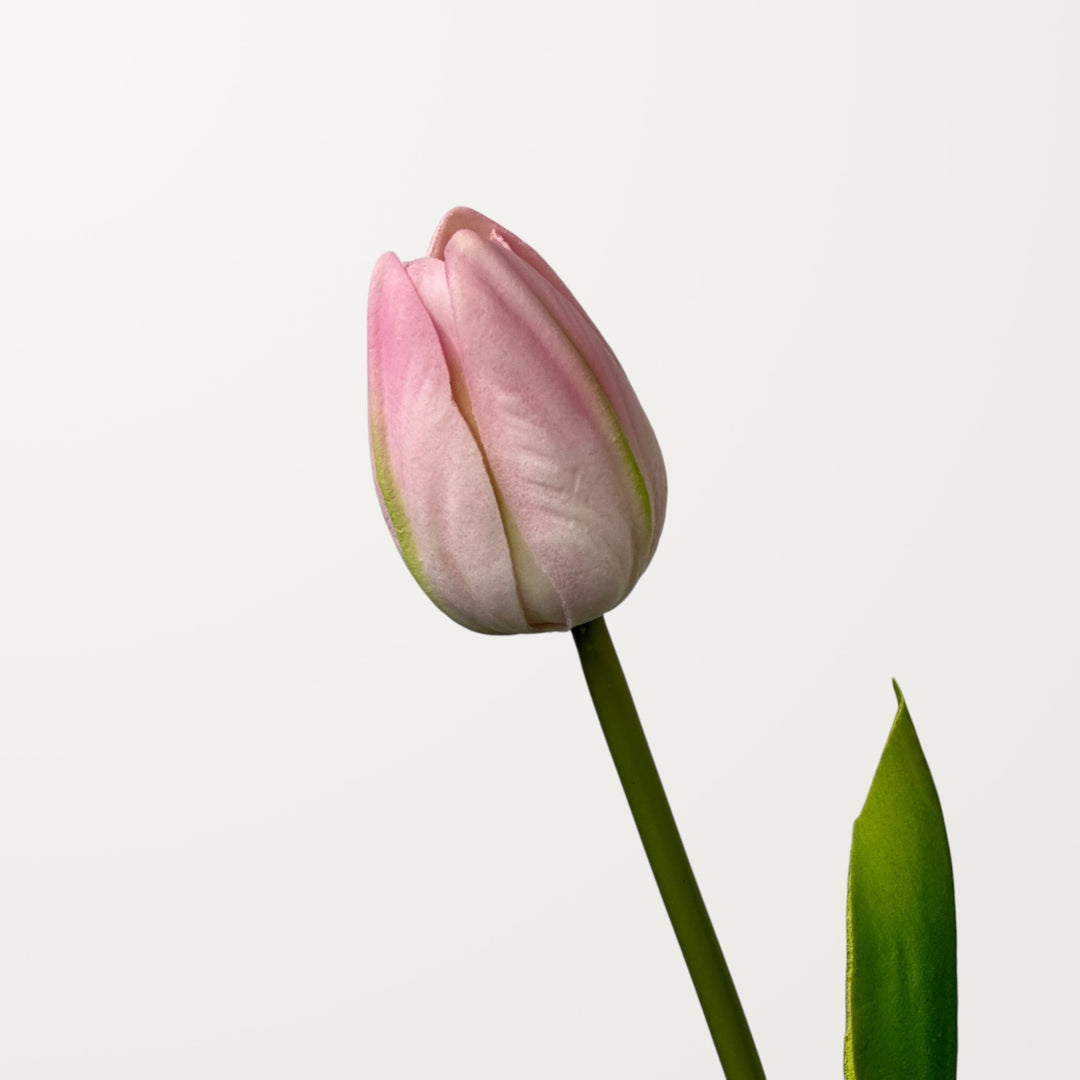 Tulip Bud – Soft Pink (Real Touch)