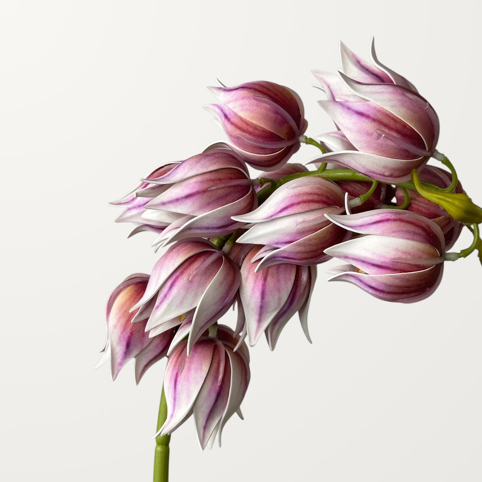 Yucca – Dusty Pink (Real Touch) - view 2