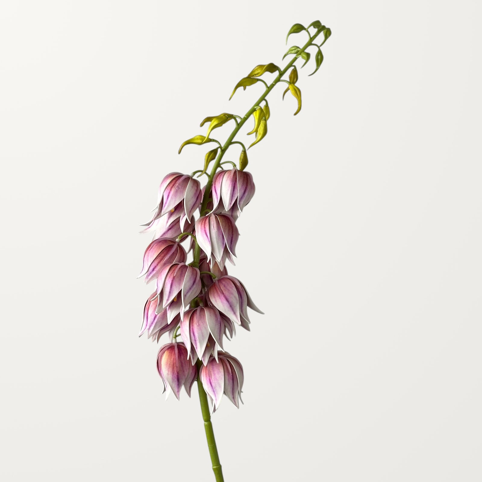 Yucca – Dusty Pink (Real Touch)