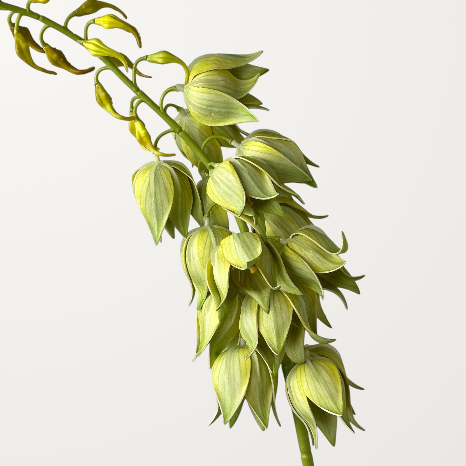 Yucca – Spring Green (Real Touch) - view 2