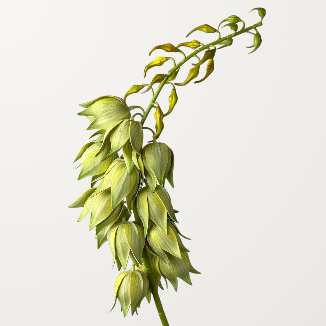 Yucca – Spring Green (Real Touch)