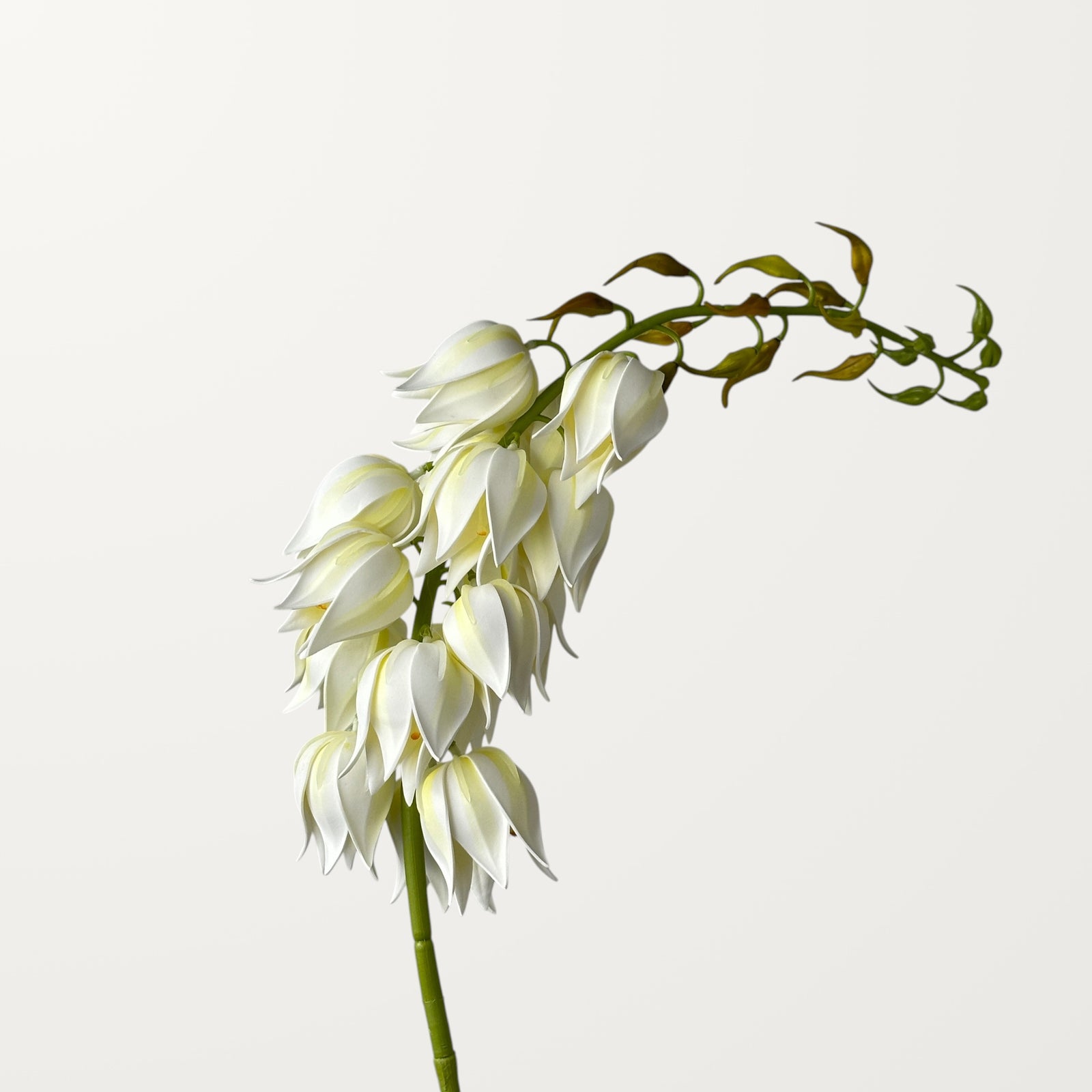 Yucca – White (Real Touch)